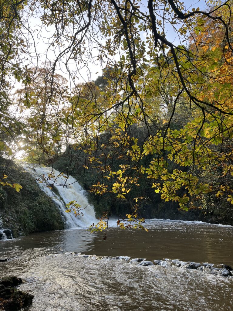 only rich people can homeschool - taking a walk to a waterfall