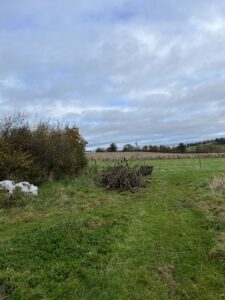 relief in nature - the bonfire heap we built