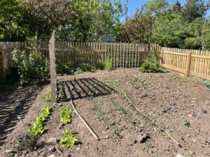 reap what we harvest - planting plugs